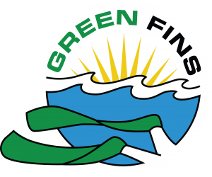 Green fins 
diving