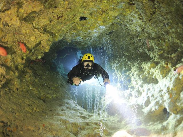 Welcome Diving shop in Okinawa Onna-village - BENTHOS DIVERS